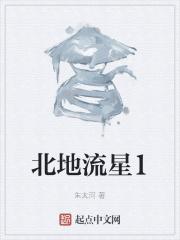 北极流星雨 北极流星雨