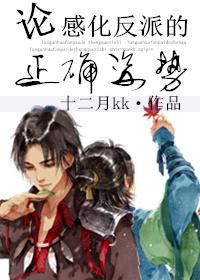 论感化反派的正确姿势 十二月kk 论感化反派的正确姿势 十二月kk