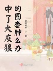 大灰狼是啥意思 大灰狼是啥意思