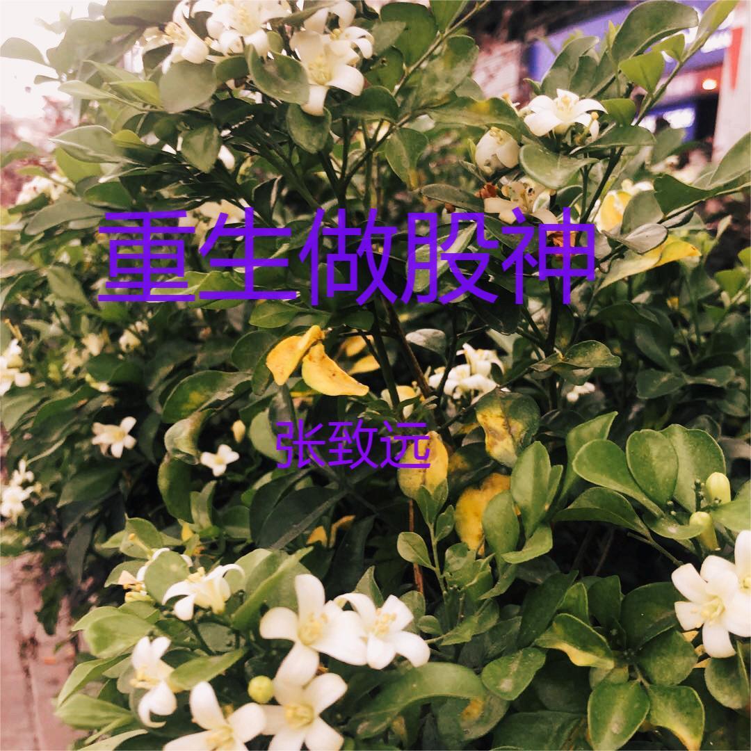 重生股神之我为王免费阅读