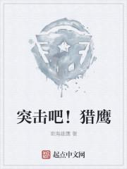 猎鹰突击外国片 猎鹰突击外国片