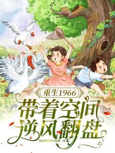 带着空间重生六十年代种田文