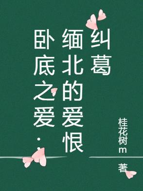 连续剧 卧底 连续剧 卧底