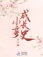 小妾类