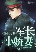 重生八零肥妻逆袭记(仅年)