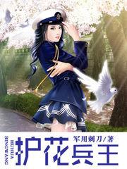 护花兵王罗峰动漫免费观看 护花兵王罗峰动漫免费观看