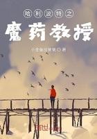 哈利波特之魔药课教授 哈利波特之魔药课教授