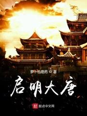 启明大唐 启明大唐