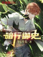 暗行御史 暗行御史