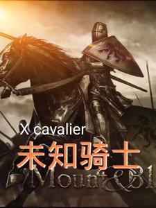 未知骑士 未知骑士