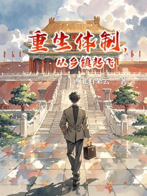 重生体制,从乡镇起飞 重生体制,从乡镇起飞