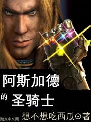 阿斯加德的圣骑士 阿斯加德的圣骑士