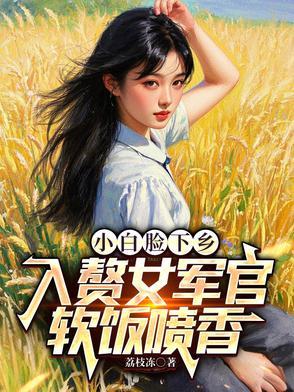 小白脸 txt