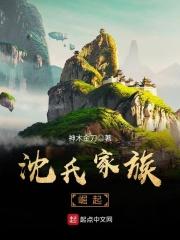 沈氏家族崛起第二部最新章节