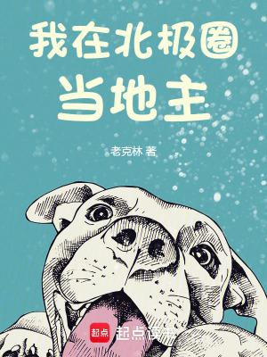 在北极村遇见你阅读题答案