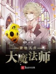 霍格沃茨魔法大全