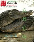 寂静村讲的什么