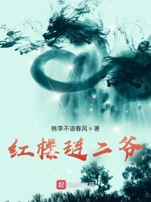 红楼之琏二爷的逆袭馨宁