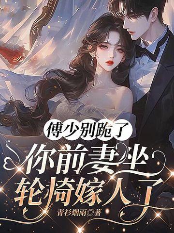 傅少 别闹