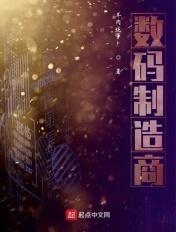 数码技术有限公司 数码技术有限公司