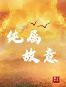纯属意外百度百科