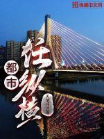 都市纵横人生 都市纵横人生