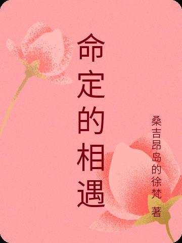 命定的相遇宝可梦