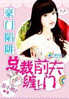 总裁豪门前妻全文阅读