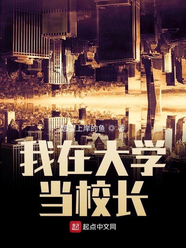 我在高校当校长那些年