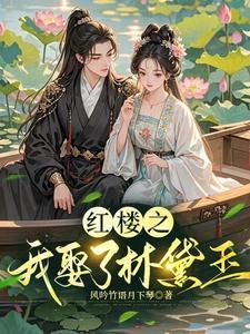 女穿男娶红楼林黛玉