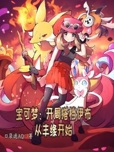 宝可梦伊布队