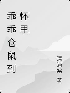 乖乖po小仓鼠