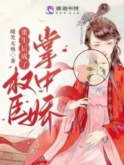 重生后成了权臣掌中娇南宝衣 重生后成了权臣掌中娇南宝衣