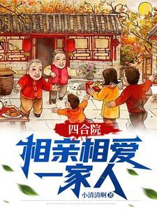 家庭四合院电视剧 家庭四合院电视剧