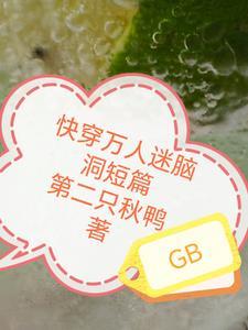 万人迷快穿言情