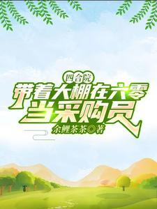 四合院带着大棚在六零当采购员孙林 四合院带着大棚在六零当采购员孙林