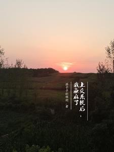 被系统坑了以后快穿 被系统坑了以后快穿