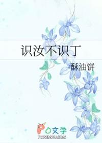 识汝不识丁全文 识汝不识丁全文