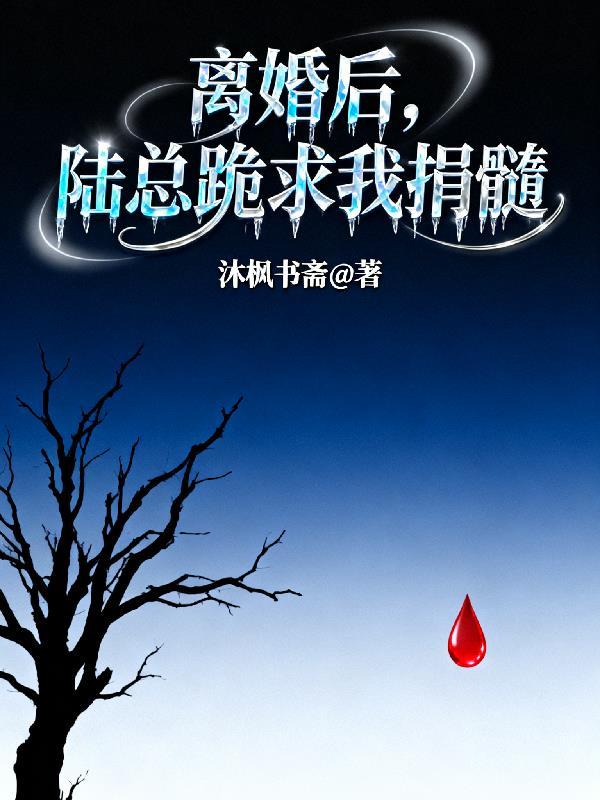 离婚后 陆少追妻火葬场 离婚后 陆少追妻火葬场