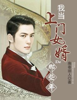 我当上门女婿的那些年TXT 我当上门女婿的那些年TXT