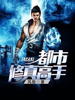 都市修真高手叶凡林婉 都市修真高手叶凡林婉