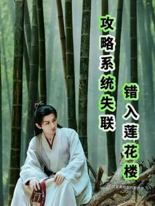 攻略系统简介