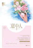 意中人歌词 意中人歌词