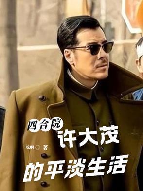 四合院许大茂精彩人生