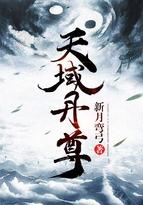 剑神丹帝