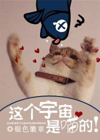 这就是宇宙吗 书