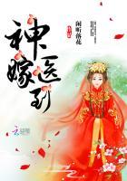 神医嫁到33 神医嫁到33