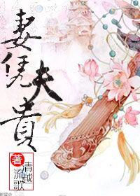 妻凭夫贵 完整版 妻凭夫贵 完整版