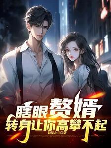 赘婿策驰