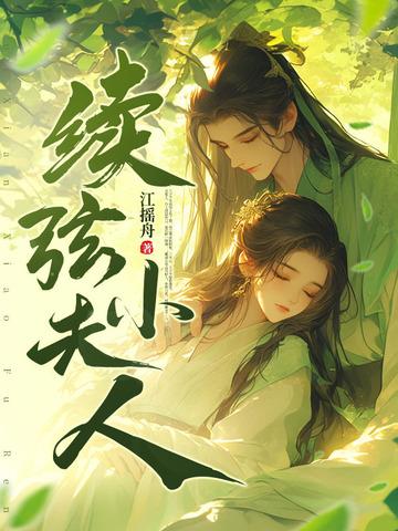 续弦小夫人纵横